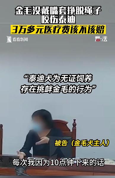 泰迪被金毛咬了!狗咬狗引发人告人,法院这样判 泰迪被金毛咬了!狗咬狗引发人告人,法院这样判