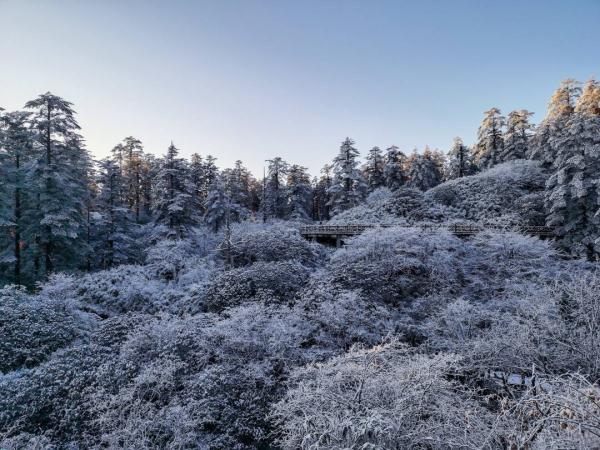 四川瓦屋山迎来初雪！云海、飞瀑美不胜收