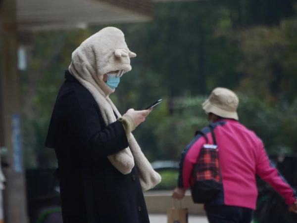 手都冻紫了，正如上海的气温图……这个冬天会出现极端寒潮吗？