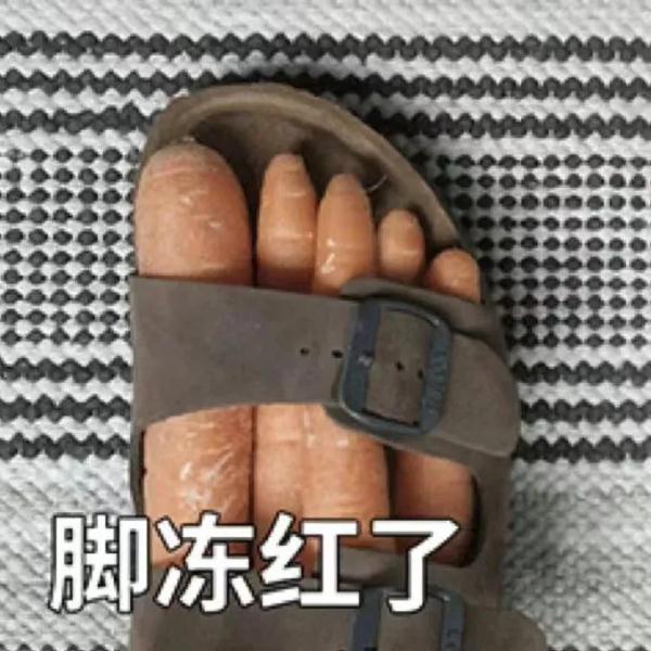 手都冻紫了，正如上海的气温图……这个冬天会出现极端寒潮吗？