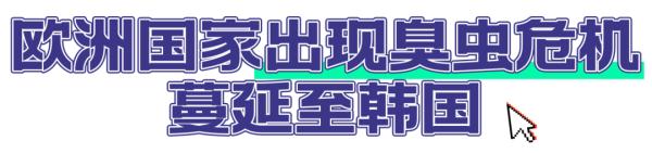 吸血为食！警惕与你“同床共枕”的它→