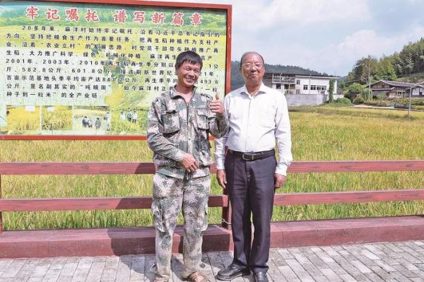 这个再生稻新品种,又获高产! 这个再生稻新品种,又获高产!