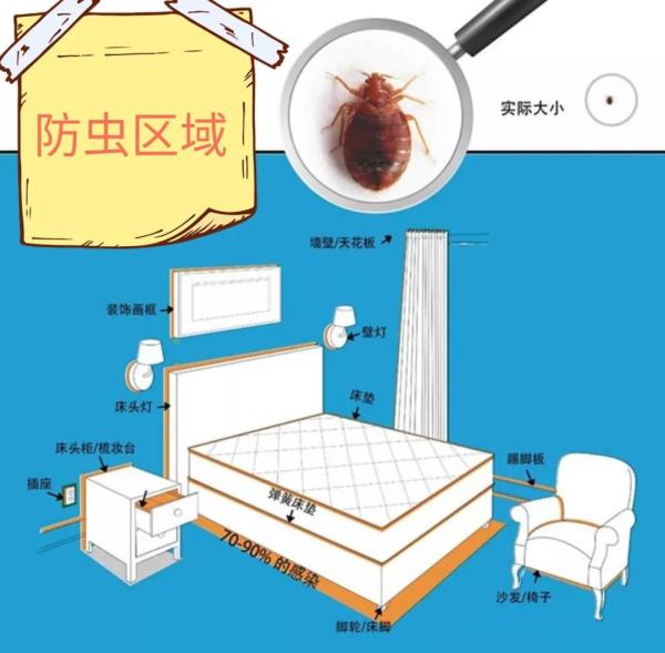 吸血为食！警惕与你“同床共枕”的它→