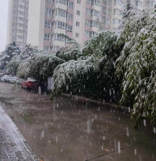 冷空气上演“车轮战”！陕西发布重要通知