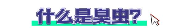 吸血为食！警惕与你“同床共枕”的它→