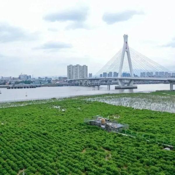 国家重要湿地，浙江新增2处！