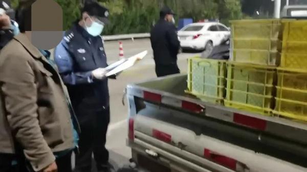 非法狩猎收售2000只“癞蛤蟆”？竟是国家“三有”保护动物……