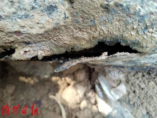 突发！洛阳一小区暖气管爆裂！