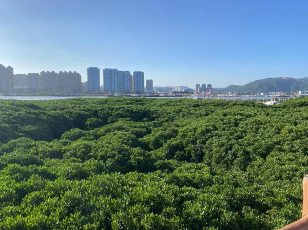 国家重要湿地，浙江新增2处！