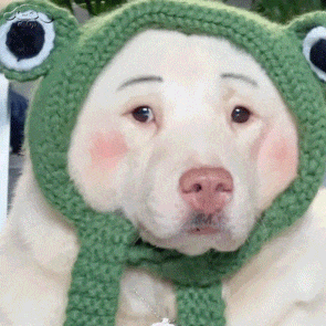 最低6.6℃！厦门明起升温！最高温将重返23℃，不过……