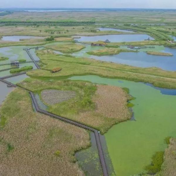 国家重要湿地，浙江新增2处！