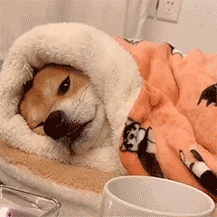 官宣 | 天津正式入冬!冷空气来袭!这些地方有强降雪! 官宣 | 天津正式入冬!冷空气来袭!这些地方有强降雪!