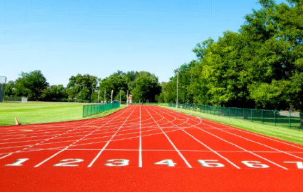 国家体育总局青少司司长李辉:学青会将推动体教更好融合发展 国家体育总局青少司司长李辉:学青会将推动体教更好融合发展