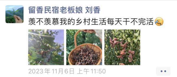 女子晒出一张照片，引无数网友热议！以前满地捡，现在找不到了…