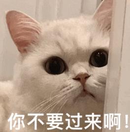 吸血为食！警惕与你“同床共枕”的它→