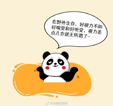 你知道吗？原来大熊猫都是高度近视