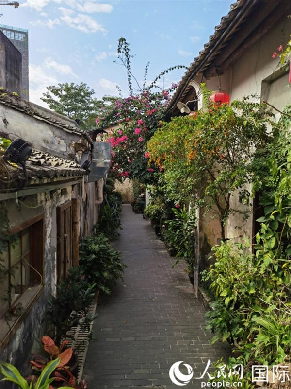 中外记者看深圳 | 深圳甘坑古镇:“大隐隐于市”的客家古村落 中外记者看深圳 | 深圳甘坑古镇:“大隐隐于市”的客家古村落