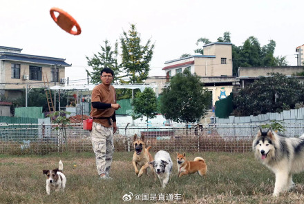 犬类行为调整师新职业走热 “它经济”助力人宠和谐 犬类行为调整师新职业走热 “它经济”助力人宠和谐