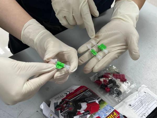 拱北海关所属九洲海关截获6粒大麻种子