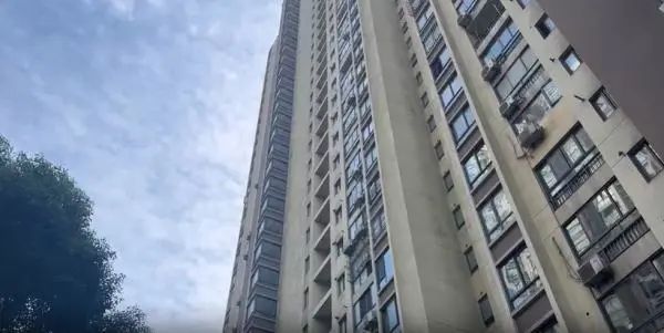 电梯里做不雅动作！上海这个小区业主直呼：太恶心