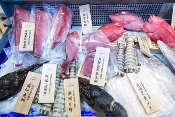 又一国，对中国公民免签！这里可实现“一秒穿越”