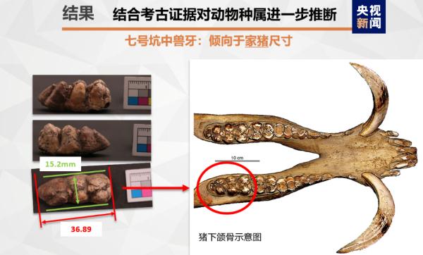 三星堆遗址考古多学科研究重要成果发布