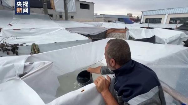 看到一线希望！安理会通过本轮巴以冲突首个决议