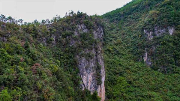 龙缸景区又发现一个天坑 龙缸景区又发现一个天坑