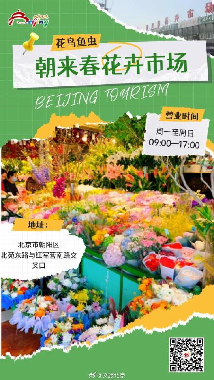 老北京人解闷爱去哪