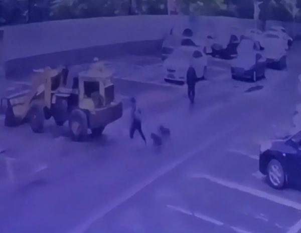 北京一男子遛狗未拴绳,致小孩大腿被咬伤!法院这样判→ 北京一男子遛狗未拴绳,致小孩大腿被咬伤!法院这样判→