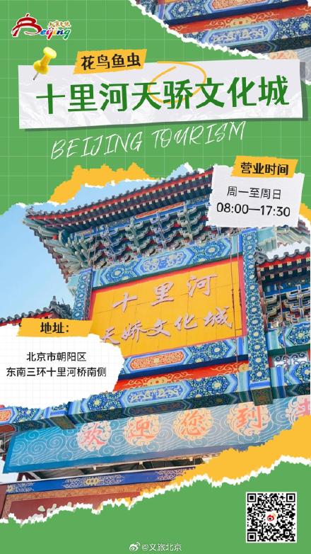 老北京人解闷爱去哪