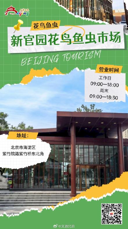 老北京人解闷爱去哪