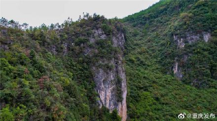 龙缸景区又发现一个天坑