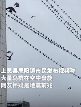 广西一地大量鸟群盘旋天空，有网友担心是地震前兆！回应来了→