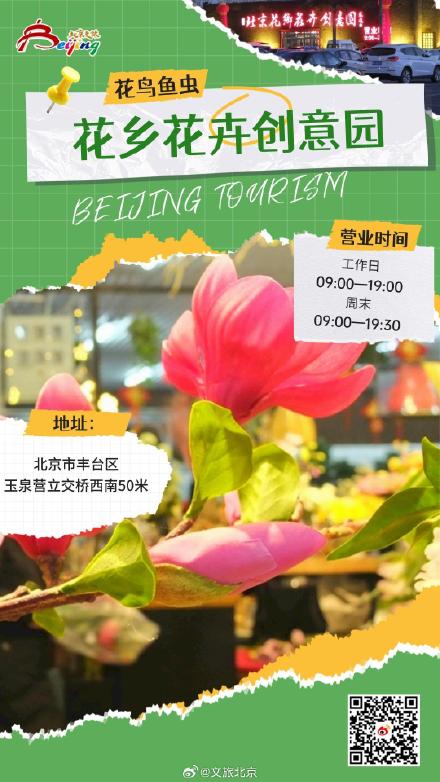 老北京人解闷爱去哪