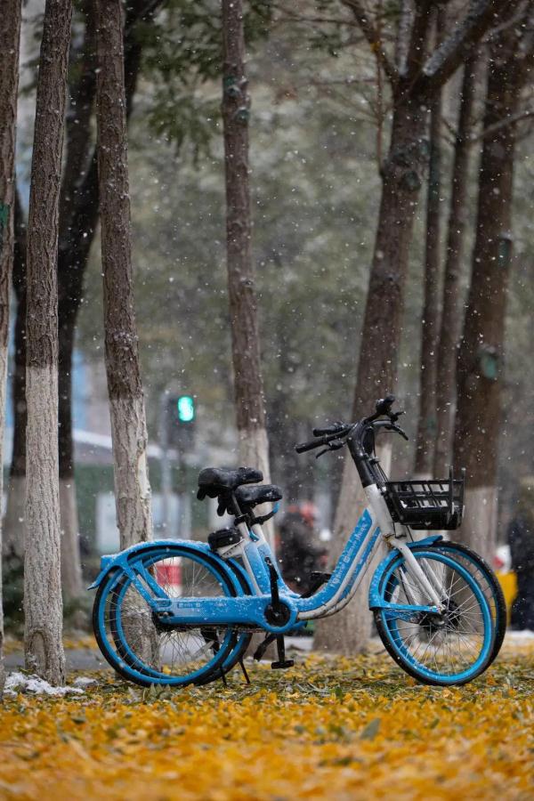 辽宁今晚阵雪离场，一波升温即将到来！