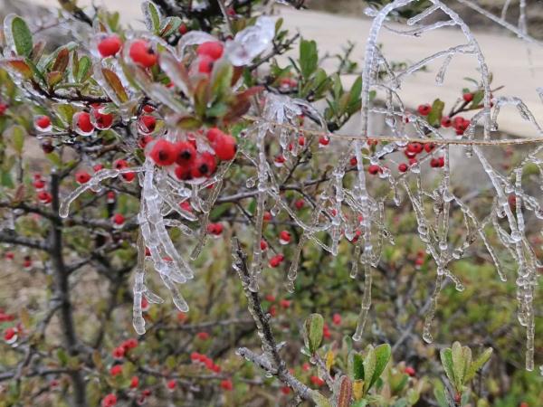 贵!州!下!雪!了! 贵!州!下!雪!了!