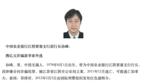 携上亿巨款举家外逃10年，“百名红通人员”孙锋被判15年半