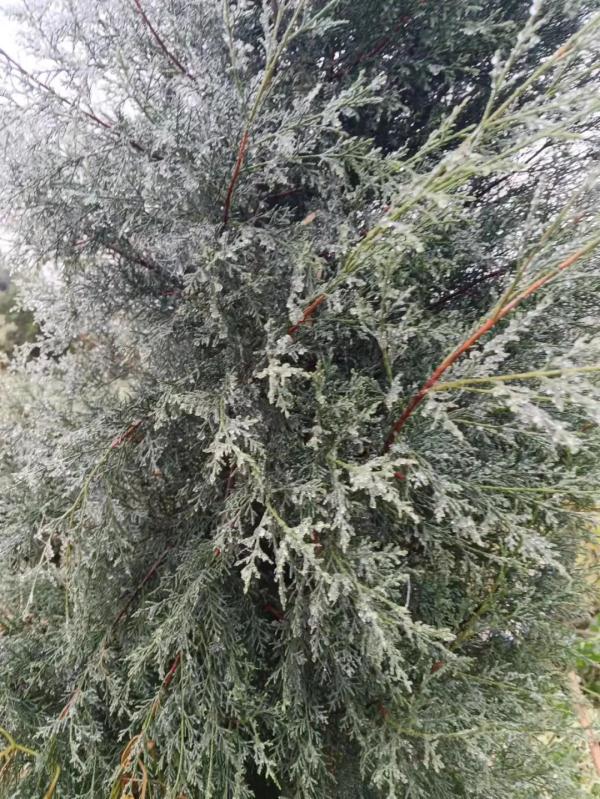 贵!州!下!雪!了! 贵!州!下!雪!了!