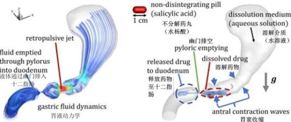 止疼药站着吃、躺着吃、坐着吃，药效真的不一样！