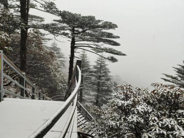 哇！昆明下雪啦！入冬首场雪！