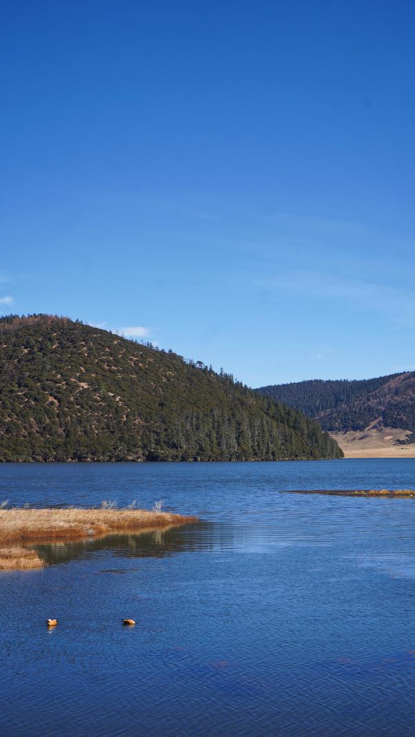 世界的香格里拉|镶嵌在世外桃源的宝石：香格里拉国家公园