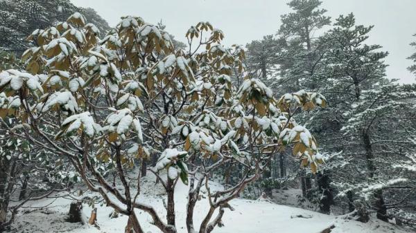 下雪啦！下雪啦！昆明这里下雪啦！