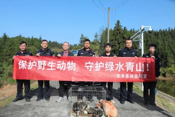 鸳鸯“约会”被抓了，警方出手相救