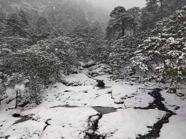 下雪啦！下雪啦！昆明这里下雪啦！