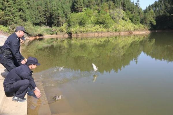 鸳鸯“约会”被抓了，警方出手相救