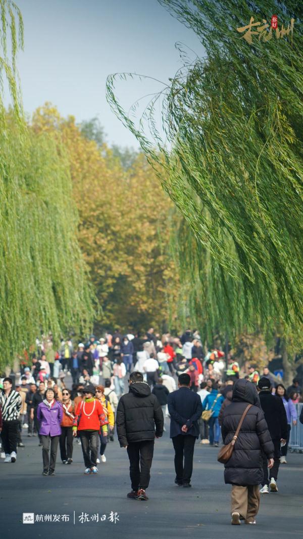 明起，杭州气温直逼历史纪录！最近每天都有新风景，抓紧出门！