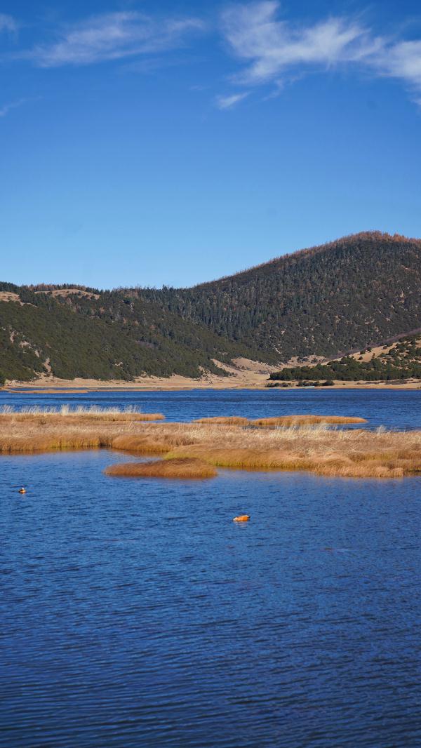 世界的香格里拉|镶嵌在世外桃源的宝石：香格里拉国家公园