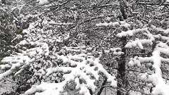 下雪啦！下雪啦！昆明这里下雪啦！