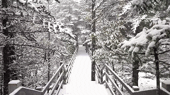 下雪啦！下雪啦！昆明这里下雪啦！